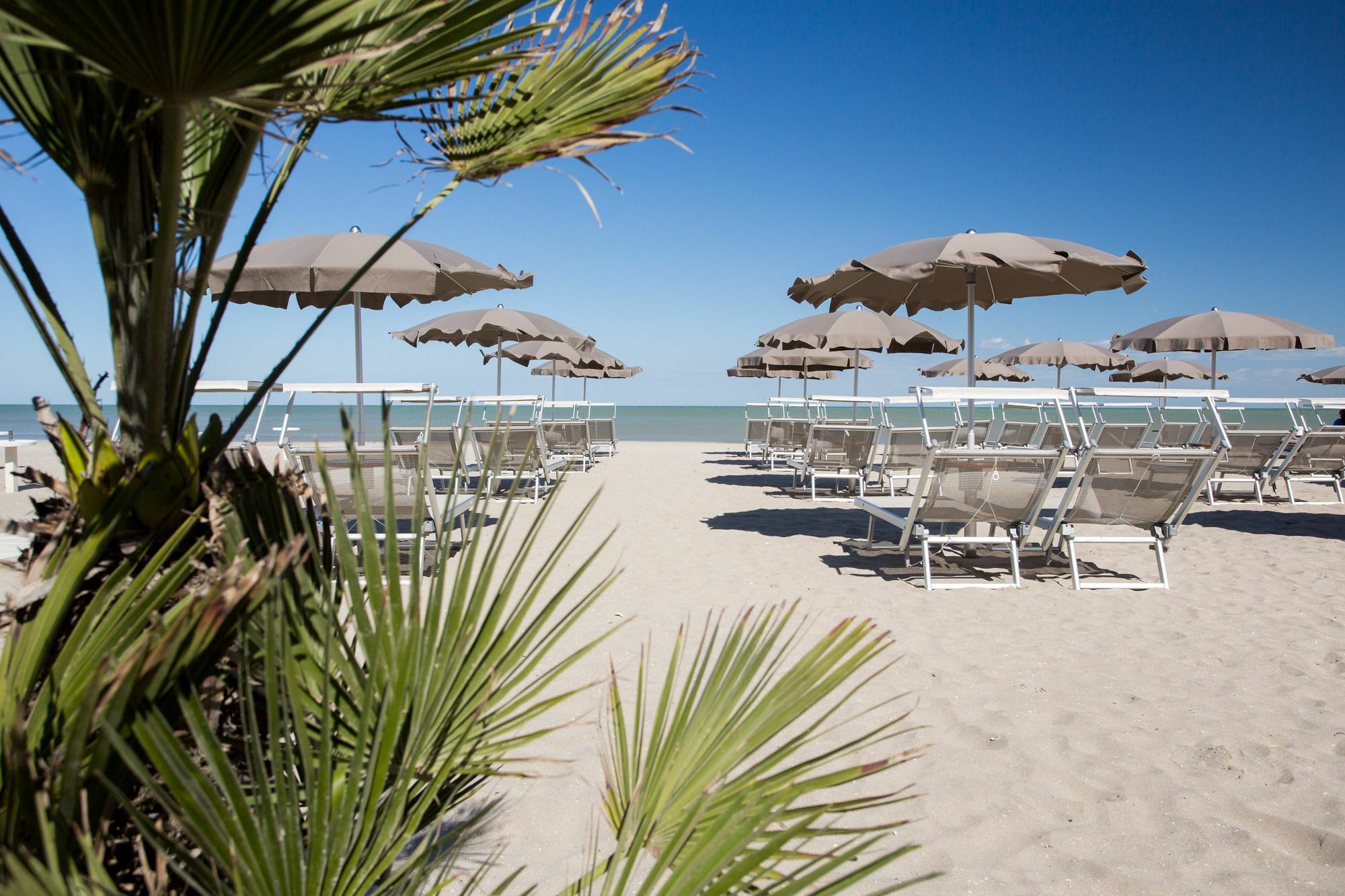 Hotel Solemare Milano Marittima Exterior photo